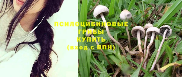 гашишное масло Алексеевка