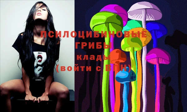 крисы Алексин